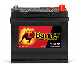 Banner Starting Bull 545 77