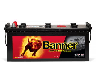 Banner Buffalo Bull 640 35