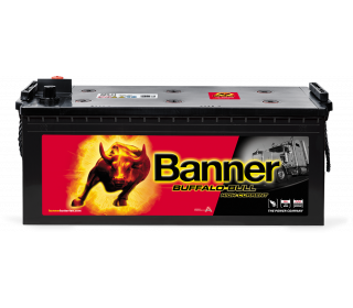 Banner Buffalo Bull 680 11 HOCHSTROM