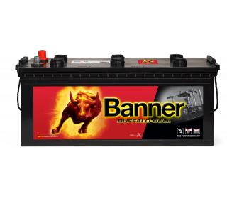 Banner Buffalo Bull 680 32