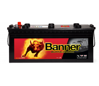 Banner Buffalo Bull 725 11