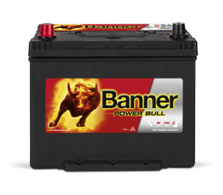 Banner Power Bull P70 24 ASIA