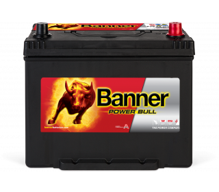 Banner Power Bull P70 29 ASIA