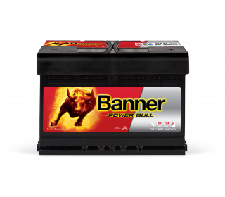 Banner Power Bull P74 12