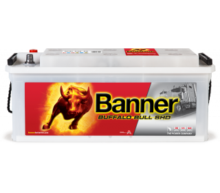 Banner Buffalo Bull SHD 635 44